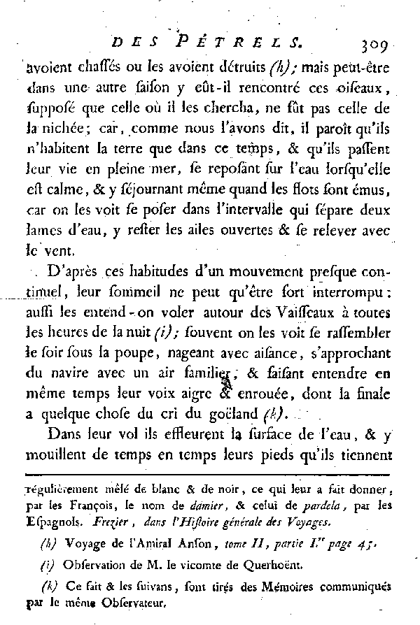 Le Pétrel blanc et noir ou le Damier.