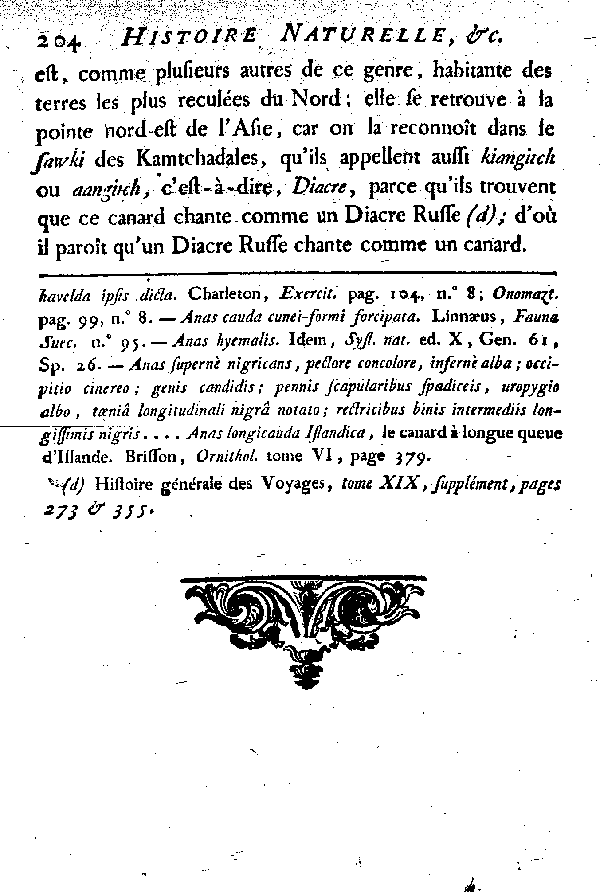 LE PILET ou CANARD à longue queue.