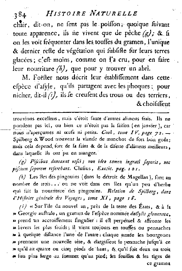 LES PINGOUINS et LES MANCHOTS ou les Oiseaux sans ailes.