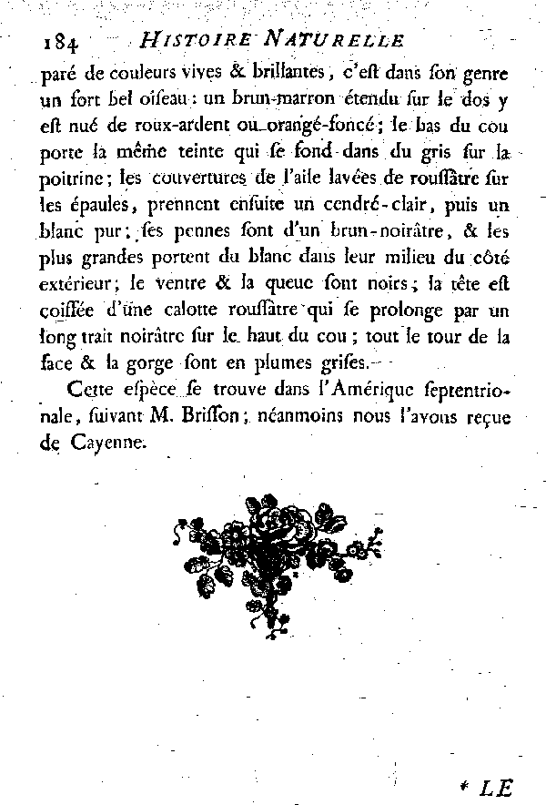 LE SIFFLEUR à bec rouge et narines jaunes.