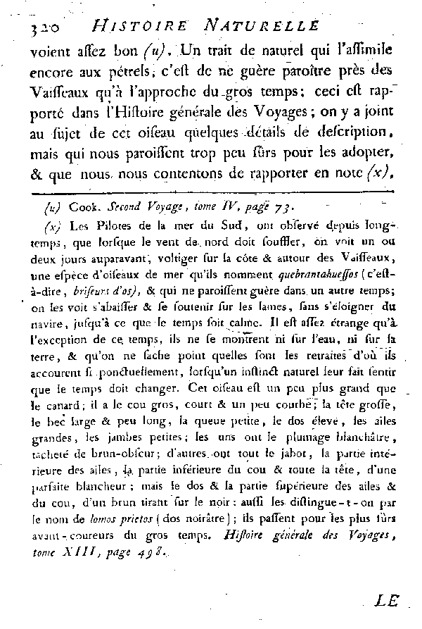 Le très-grand Pétrel, Quebrantahuessos des Espagnols.