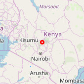 Nyangi
