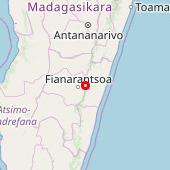 Ranomafana National Park