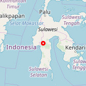 Tondok