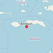 Ambon