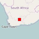 Koetskop