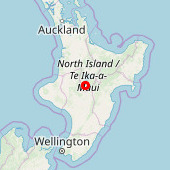 Turangi