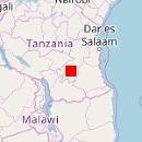Ruaha