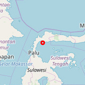 Pulau Saluton