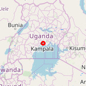 Kikorongo