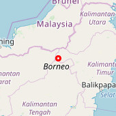 Borneo