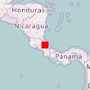 Guayacán