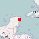 Playa del Carmen