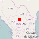 Saucillo