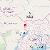 Arua