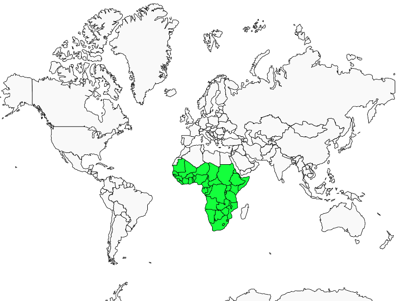Verreaux's (Giant) Eagle-Owl - Bubo lacteus - Carnivora