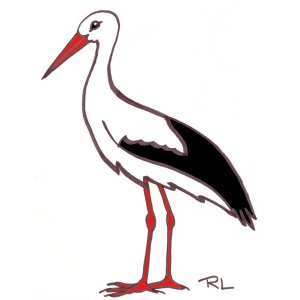 cigogne