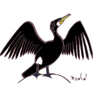 cormoran