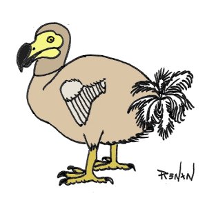 dodo