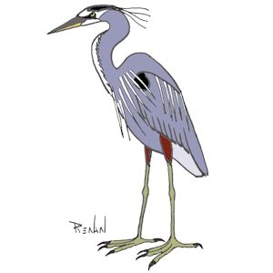 grand_heron