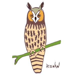 hibou