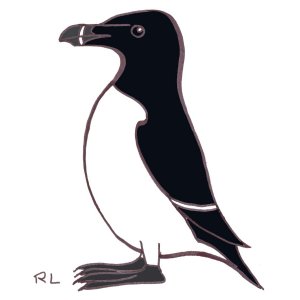 pingouin