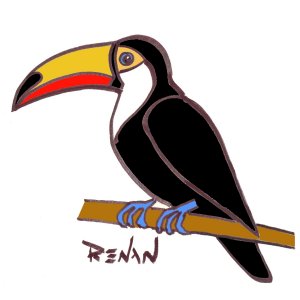 toucan