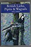 Larks, Pipits and Wagtails
