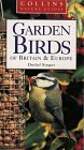 Garden Birds of Britain  Europe