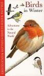 Birds in Winter