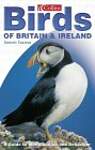 Birds of Britain  Ireland: A Guide to Identification and Behaviour