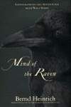 Mind of the Raven: Investigations and Adventures with Wolf-Birds
