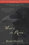 Mind of the Raven