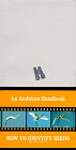 How to Identify Birds: An Audubon Handbook
