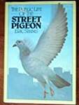 The Public Life of the Street Pigeon