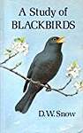 A Study of Blackbirds