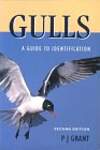 Gulls: Guide to Identification