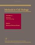 Methods in Avian Embryology