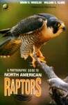 A Photographic Guide to North American Raptors