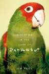 Elsewhere In the Land of Parrots