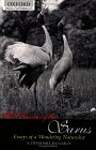 The Dance of the Sarus: Essays of a Wandering Naturalist