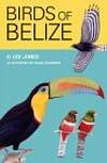 Birds of Belize