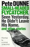 Small-Headed Flycatcher.: Seen Yesterday. He Didn't Leave His Name. and Other Stories