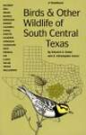 Birds and Other Wildlife of South Central Texas: A Handbook