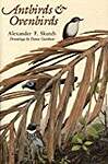 Antbirds  Ovenbirds: Their Lives and Homes