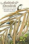 Antbirds  Ovenbirds: Their Lives and Homes