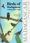 Birds of Madagascar: A Photographic Guide