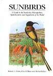 Sunbirds: A Guide to the Sunbirds, Flowerpeckers, Spiderhunters and Sugarbirds of the World