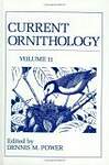 Current Ornithology
