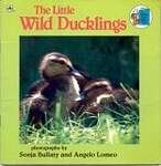 Little Wild Duckling: Photographs